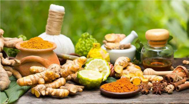 Ayurveda evam Vanaushadhi - Kanishtha Sahayak आयुर्वेद एवं वनौषधि - कनिष्ठ सहायक