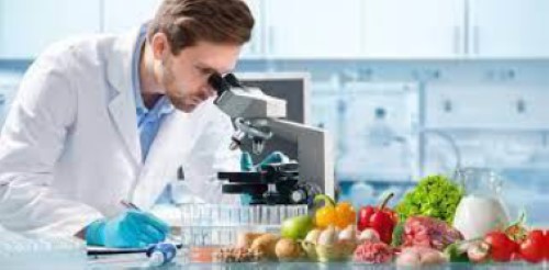 Food Analyst